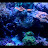 Mike Lutz avatar image