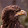 Peter Miklosko Peter Miklosko's profile photo