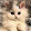 Sandy Valdez Sandy Valdez's profile photo