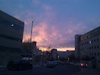 IMG_20130205_172108.jpg