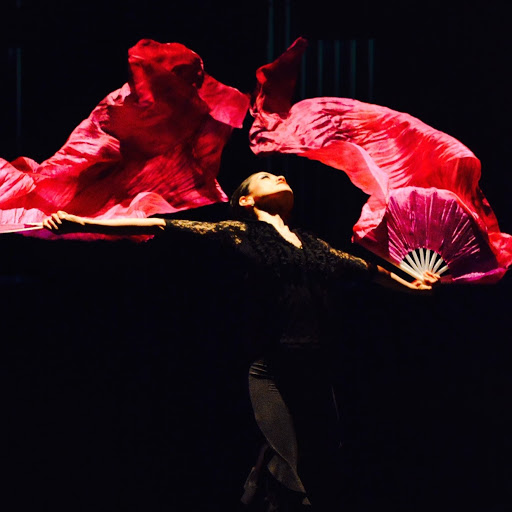 Yumi La Rosa Flamenco @ Ballet Arizona logo