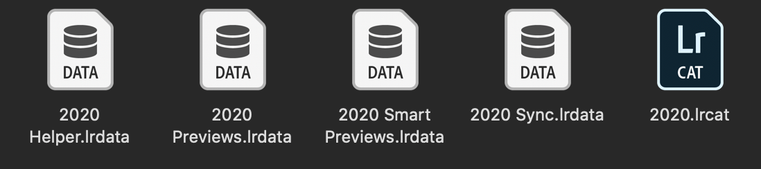 2020 data folders in lightroom workflow photography