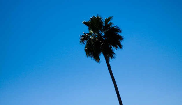 Cover photo