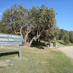 Welcome to Melaleuca camping Area