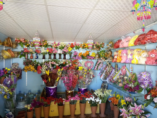 Gift Cry, Bellandur, Outer Ring Road, Bengaluru, Karnataka 560103, India, Gift_basket_shop, state KA