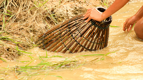 serkap ikan | Kongsi Cerita