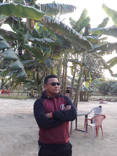 Photos of BANANA AGRO RESORT