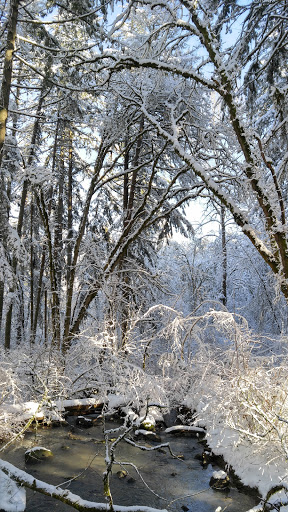 Nature Preserve «Lowami Hart Woods Natural Area», reviews and photos, 14895 SW Hart Rd, Beaverton, OR 97007, USA