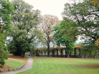 Photos of Weinberg