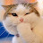 Agnes R avatar image