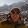 Jason Palmer Jason Palmer's profile photo