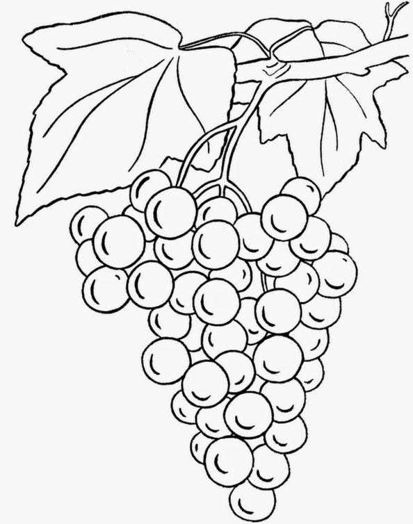 Gambar Direktori Video Google Gambar Buah Anggur Kartun di Gambar Direktori Video Google Gambar Buah Anggur Kartun di