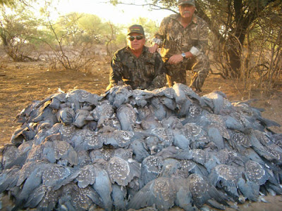 US Hunters With Dead Doves
