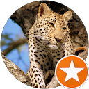 review by pearls of africa review by pearls of africa
