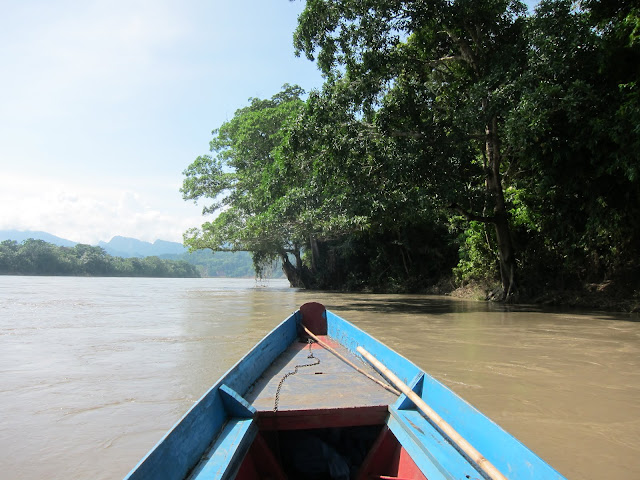 Kicking off our jungle adventure in Madidi National Park with a boat ride up the river