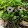 Jonathan Denni Jonathan Denni's profile photo