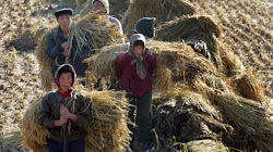 Bắc Triều Tiên kêu gọi các công dân nước này hãy chuẩn bị cho nạn đói sắp xảy đến