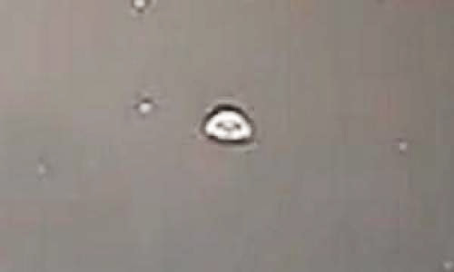 Ufo Fleet Over Denver Colorado Or Living Creatures Sept 22 2011 Ufo Sighting News