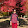 Shabnam Zamani Shabnam Zamani's profile photo
