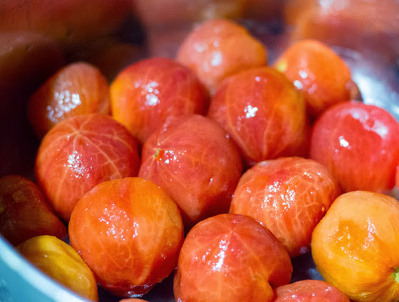 close-up photo of peeled tomatoes
