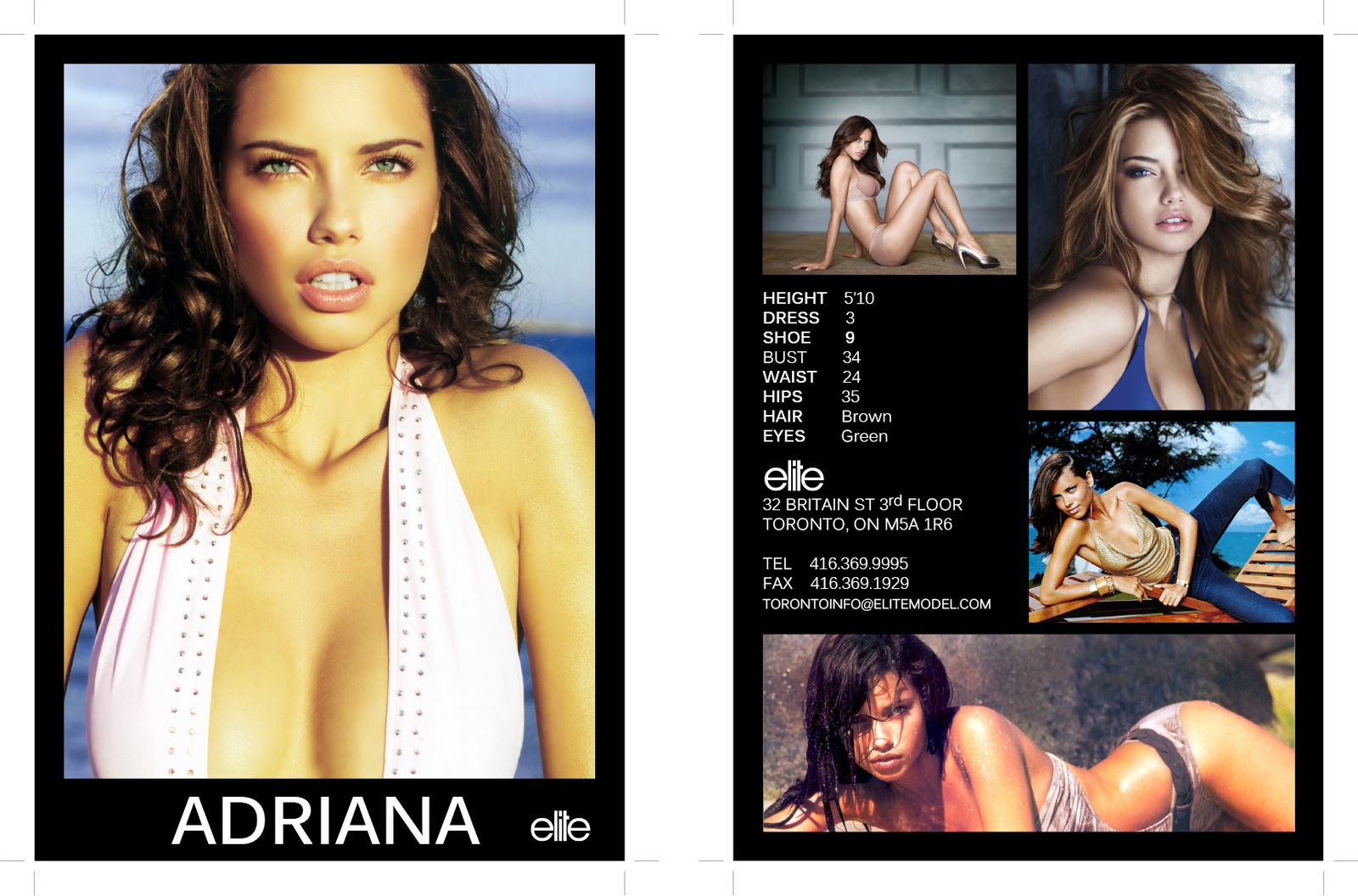 model comp card template hit and miss fashion model comp card model comp card template hit and miss fashion model comp card