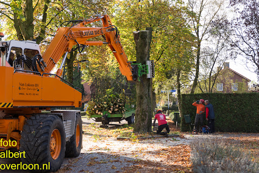 Bomen gekapt Museumlaan in overloon 20-10-2014 (23).jpg