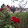 Solveiga Līdaka Solveiga Līdaka's profile photo