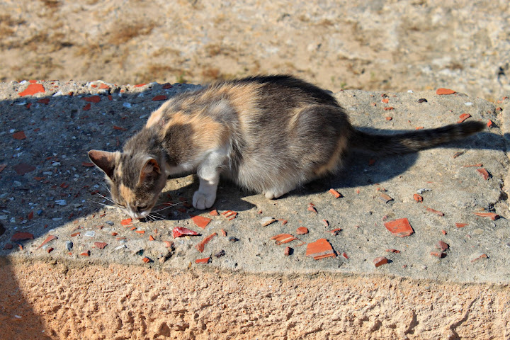 Три "венеции" в круизе по Европе с Гибралтаром и Португалией на MSC Magnifica. 05-06.2012