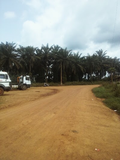 Photos of Socapalm Kribi
