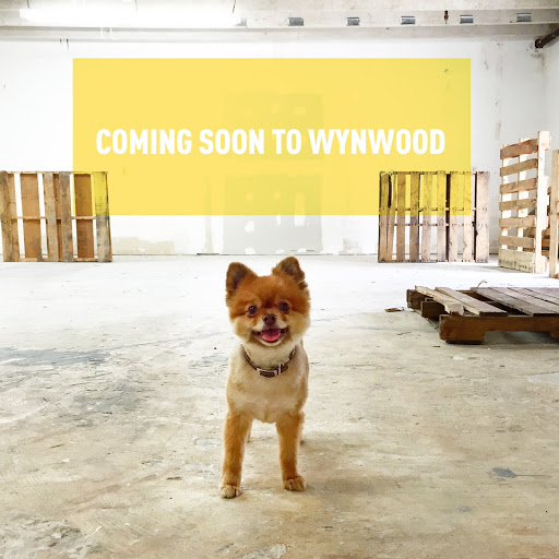 Wynwood Dog Food Co. logo