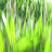 Erika Müller avatar image