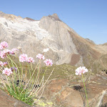 Le Glacier d'Ossoue. En tout petit � droite, le refuge de Baysselance