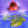 Demian Clements Demian Clements's profile photo