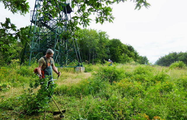 Pokošena trava oko piramide