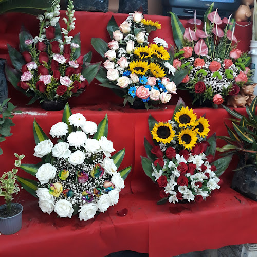 Flores y Plantas Stefany - Quito