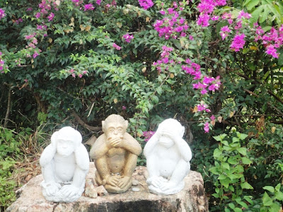 Майский Тай (Бангкок-Самуи-Тао)