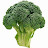 Sean Laurent avatar image