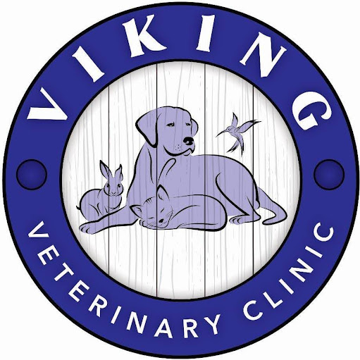 Viking Veterinary Clinic logo