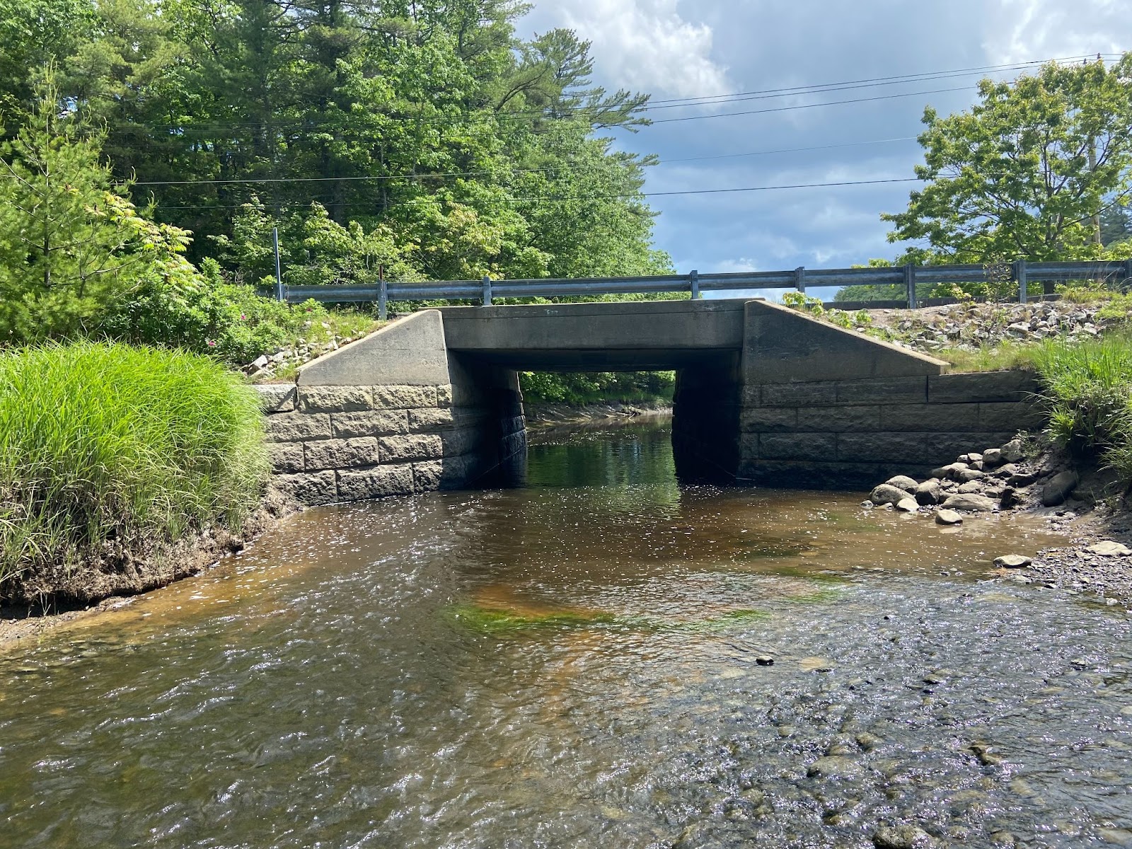 A bridge spanning a saltmarsh tidal channel.