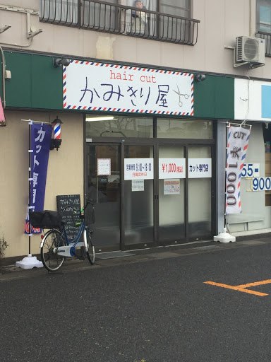 Google Maps