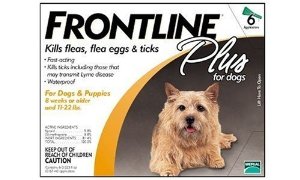  NEW Frontline Plus for Small dogs up to 22 Lbs 4 boxes 12 month Supply