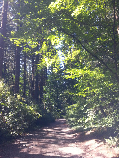 Watershed Park - Hwy 10 Entrance