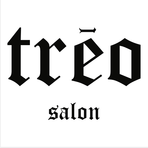 Treo Salon logo