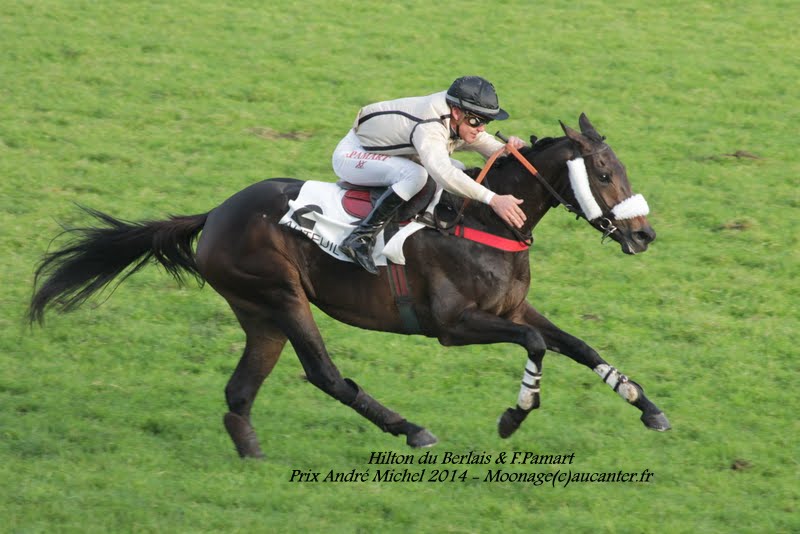 Photos Auteuil 23-11-2014  - Page 2 IMG_6253