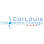 CarLouis Chiropractic Chicago - Chiropractor in Chicago Illinois