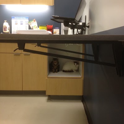 Photos of Queen West Animal Hospital