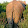 Simon Ayling Simon Ayling's profile photo