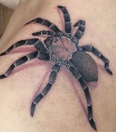 Spider Tattoos
