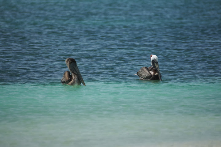 Венесуэла: не так страшен "черт" как о нем пишут