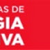 Seis milhões vão às urnas
